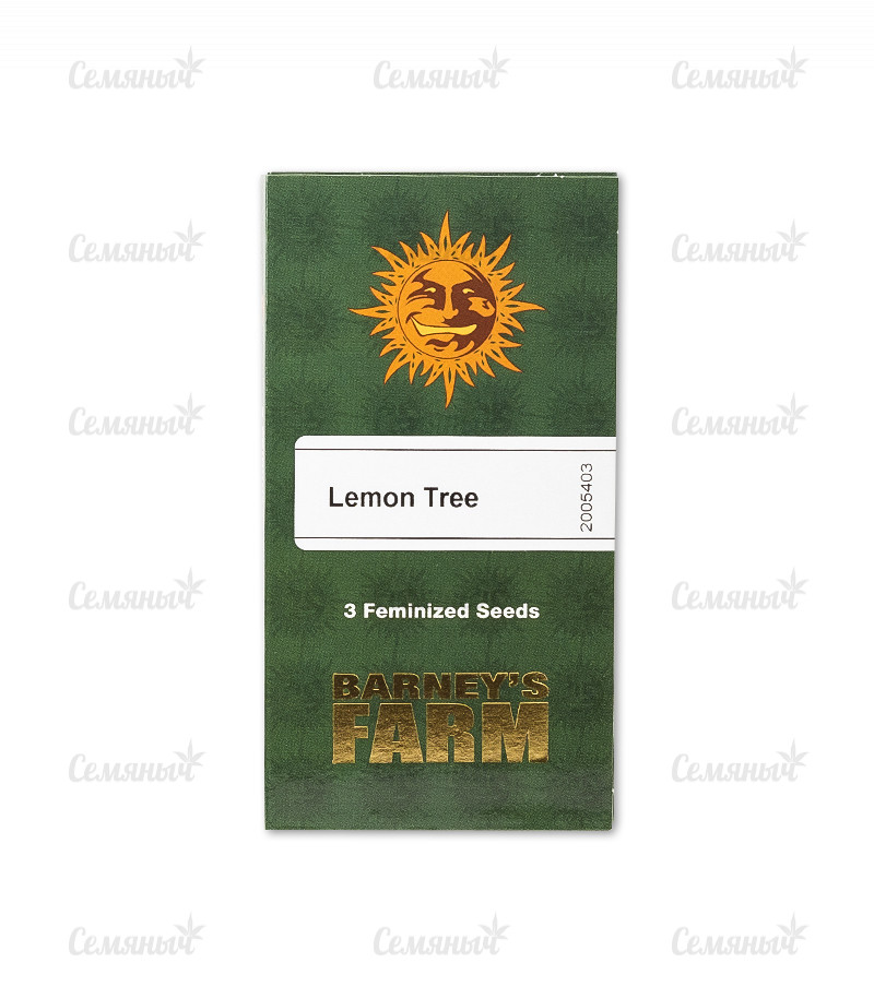 Семена сорта   Lemon Tree fem (Barneys Farm) 