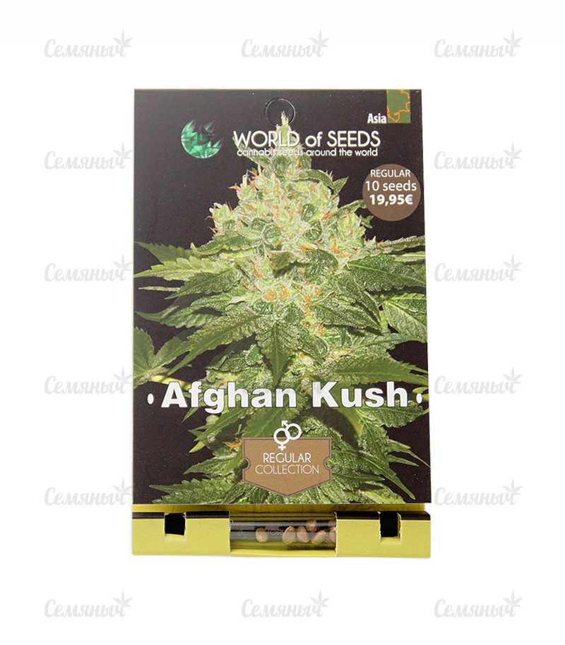 Семена сорта   Afghan Kush reg (World Of Seeds) 