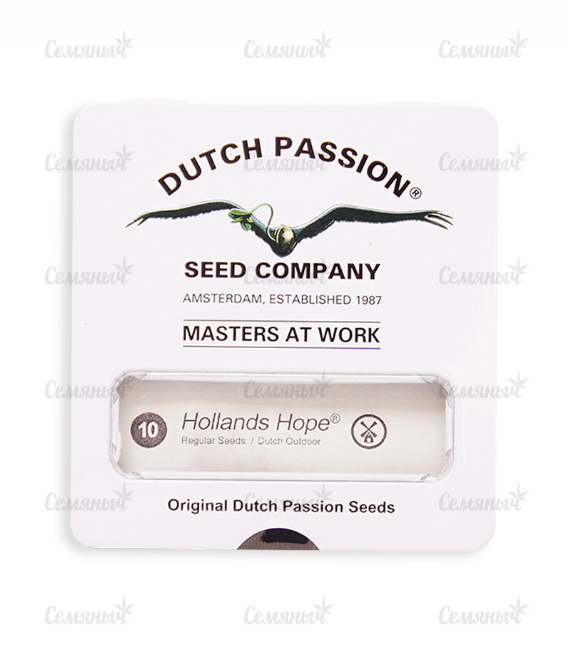 Семена сорта   Hollands Hope regular (Dutch Passion) 