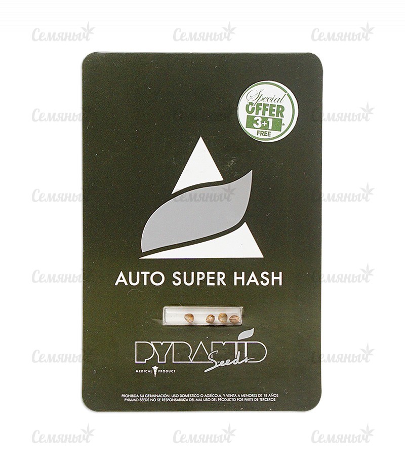 Семена сорта   Auto Super Hash fem (Pyramid Seeds) 