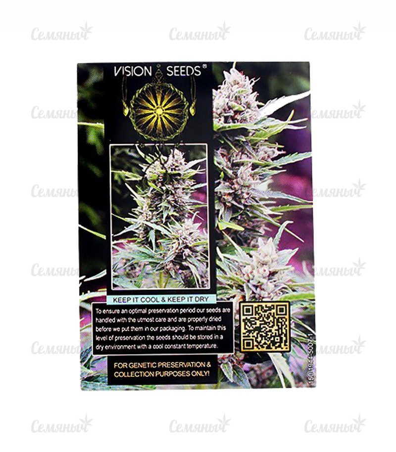 Семена сорта   Bona Dea CBD+ fem (Vision Seeds) 