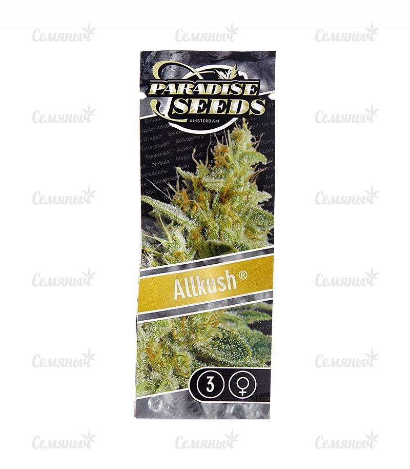 Семена сорта   Allkush fem (Paradise Seeds) 