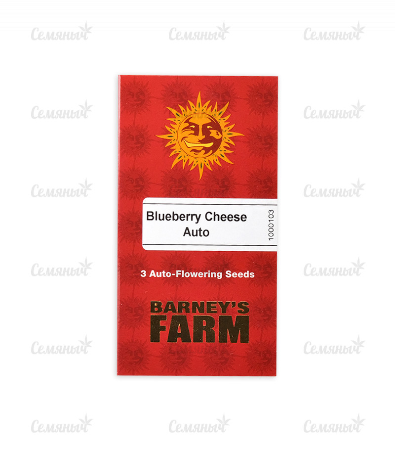 Семена сорта   Blueberry Cheese Auto (Blue Cheese Auto) fem (Barneys Farm) 