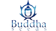 Купить   Buddha Seeds  семена конопли