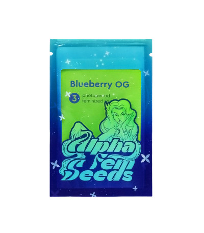 Семена сорта   Blueberry OG fem (AlphaFem Seeds) 