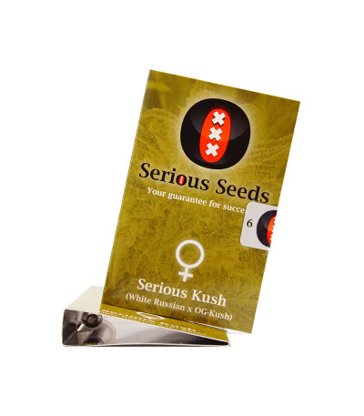 Семена сорта   Serious Kush fem (Serious Seeds) 