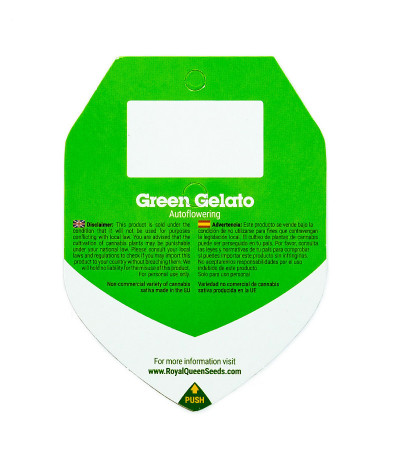 Семена сорта   Green Gelato Automatic fem (RQS) 